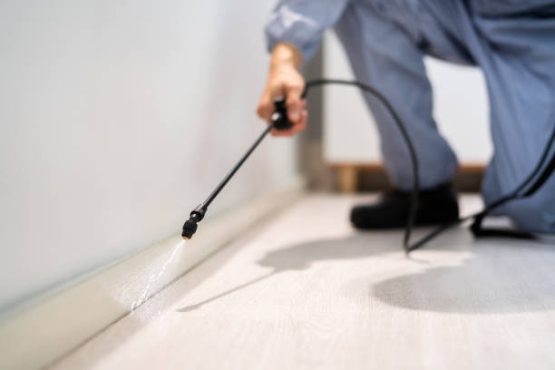 Licensed Pest Control service in Williamsville, IL - Show Me Pest Control