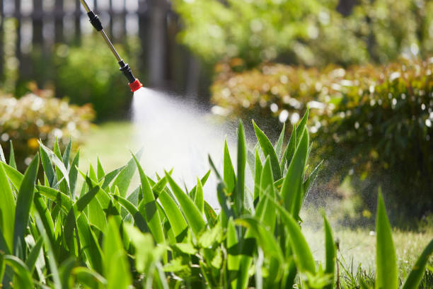 24/7 Emergency Ant Control experts in Williamsville, IL