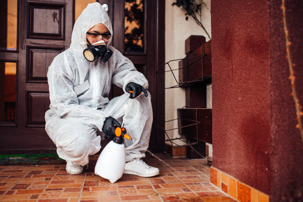 Reliable Ant Control contractor in Williamsville, IL by Show Me Pest Control